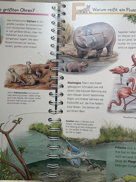 Mein ABC der Tiere