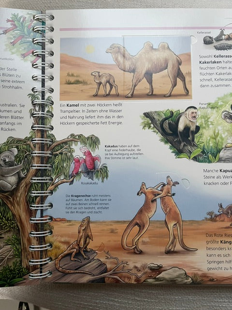 Mein ABC der Tiere